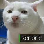 serione's Avatar