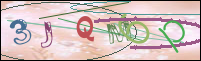 Registration Image