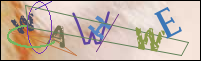 Registration Image