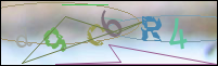 Registration Image