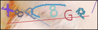 Registration Image