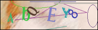 Registration Image