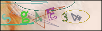 Registration Image