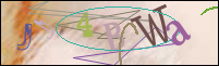 Registration Image