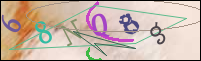 Registration Image