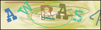 Registration Image