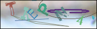 Registration Image