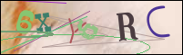 Registration Image