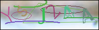 Registration Image