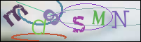 Registration Image