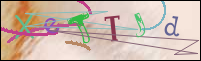Registration Image