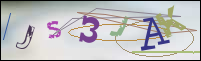 Registration Image