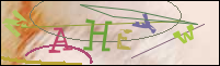 Registration Image