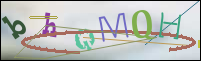 Registration Image