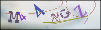 Registration Image