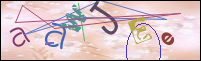 Registration Image