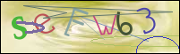 Registration Image