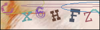 Registration Image