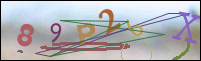 Registration Image