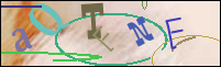 Registration Image