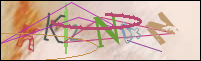 Registration Image