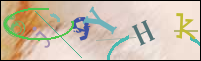 Registration Image