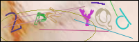 Registration Image