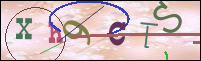 Registration Image