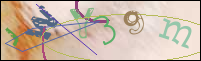 Registration Image