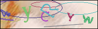 Registration Image