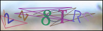 Registration Image