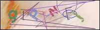 Registration Image