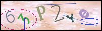 Registration Image