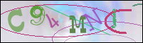 Registration Image