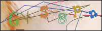 Registration Image