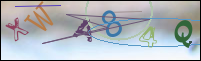 Registration Image