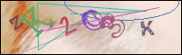 Registration Image