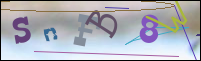 Registration Image