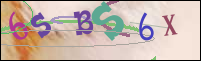 Registration Image