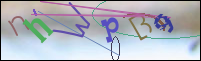 Registration Image