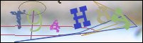 Registration Image