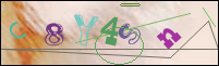Registration Image