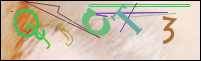 Registration Image