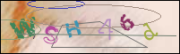 Registration Image