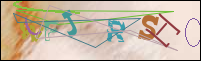 Registration Image