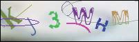Registration Image