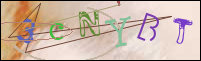 Registration Image