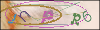 Registration Image