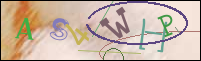 Registration Image