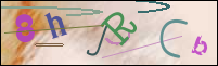Registration Image
